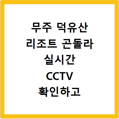 무주 덕유산 리조트 곤돌라 실시간 CCTV 확인하고 대기 없이 타는 법