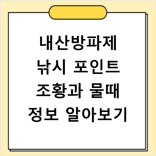 내산방파제 낚시 포인트 조황과 물때 정보 알아보기