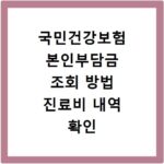 국민건강보험 본인부담금 조회 방법 진료비 내역 확인