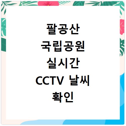 팔공산 국립공원 실시간 CCTV 날씨 확인 방법과 홈페이지 바로가기 안내