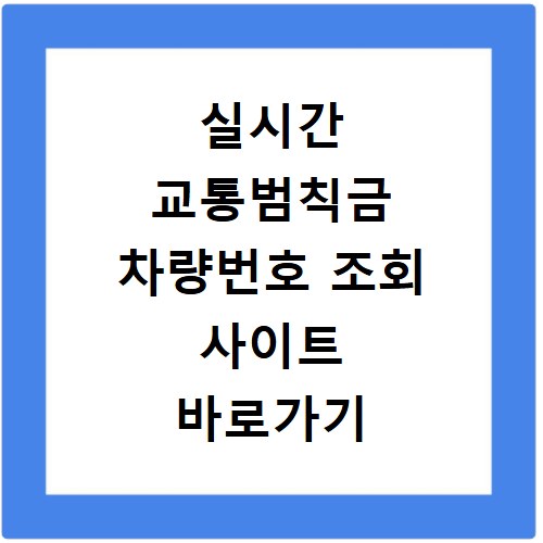 실시간 교통범칙금 차량번호 조회 사이트 바로가기 이용 방법 정리