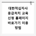 대한적십자사 응급처치 교육 신청 홈페이지 바로가기 이용 방법 정리