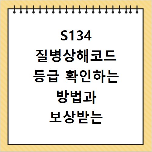 S134 질병상해코드 등급 확인하는 방법과 보상받는 꿀팁 정리