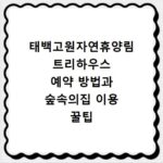 태백고원자연휴양림 트리하우스 예약 방법과 숲속의집 이용 꿀팁 정리
