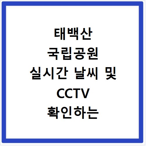 태백산 국립공원 실시간 날씨 및 CCTV 확인하는 방법과 사이트 바로가기