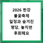 2026 한강 불꽃축제 일정과 숨겨진 명당, 놓치면 후회해요