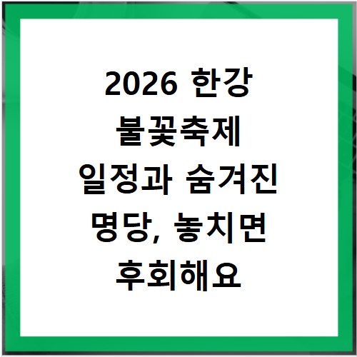 2026 한강 불꽃축제 일정과 숨겨진 명당, 놓치면 후회해요