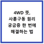 4WD 뜻, 사륜구동 원리 궁금증 한 번에 해결하는 법