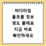 바다타임 물흐름 정보 영도 물때표 지금 바로 확인하세요