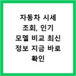 자동차 시세 조회, 인기 모델 비교 최신 정보 지금 바로 확인