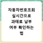 자동차번호조회 실시간으로 과태료 납부 여부 확인하는 법