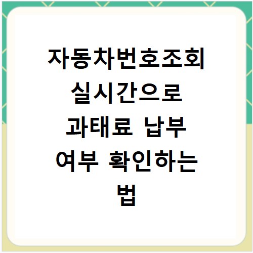 자동차번호조회 실시간으로 과태료 납부 여부 확인하는 법