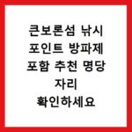 큰보론섬 낚시 포인트 방파제 포함 추천 명당 자리 확인하세요