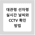 대관령 선자령 실시간 날씨와 CCTV 확인 방법