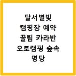 달서별빛 캠핑장 예약 꿀팁 카라반 오토캠핑 숲속 명당 잡기