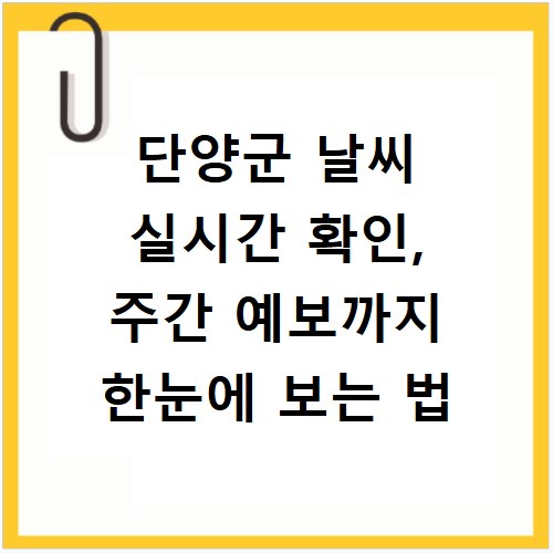 단양군 날씨 실시간 확인, 주간 예보까지 한눈에 보는 법