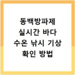 동백방파제 실시간 바다 수온 낚시 기상 확인 방법