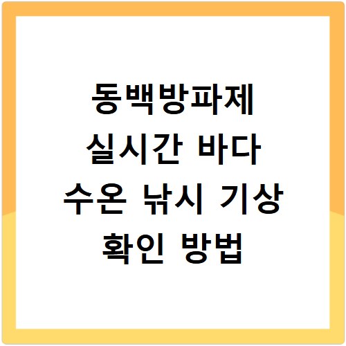동백방파제 실시간 바다 수온 낚시 기상 확인 방법