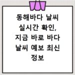 동해바다 날씨 실시간 확인, 지금 바로 바다 날씨 예보 최신 정보