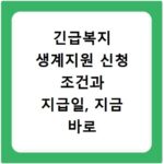 긴급복지 생계지원 신청 조건과 지급일, 지금 바로 확인하세요