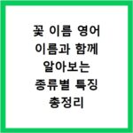 꽃 이름 영어 이름과 함께 알아보는 종류별 특징 총정리