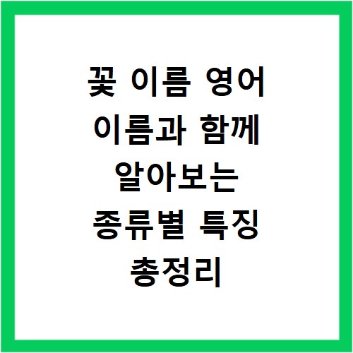 꽃 이름 영어 이름과 함께 알아보는 종류별 특징 총정리