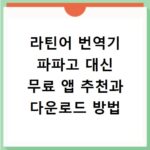 라틴어 번역기 파파고 대신 무료 앱 추천과 다운로드 방법