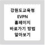 강원도교육청 EVPN 홈페이지 바로가기 방법 알아보기
