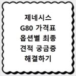 제네시스 G80 가격표 옵션별 최종 견적 궁금증 해결하기