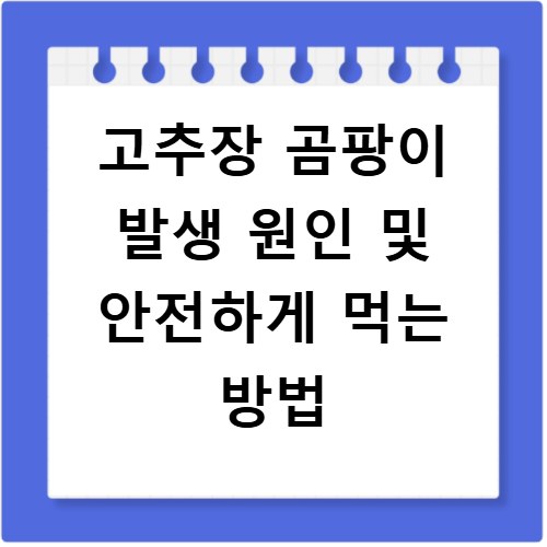고추장 곰팡이 발생 원인 및 안전하게 먹는 방법
