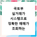 국토부 실거래가 시스템으로 정확한 매매가 조회하는 방법