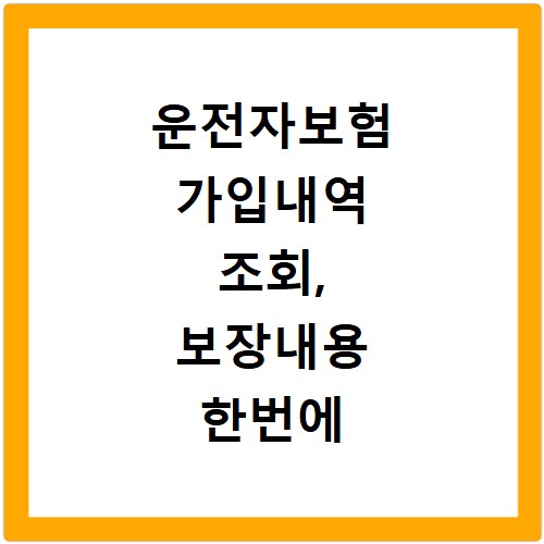 운전자보험 가입내역 조회, 보장내용 한번에 확인하는 쉬운 방법