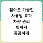 검아웃 가솔린 사용법 효과 차량 관리 팁까지 꼼꼼하게 알려드려요