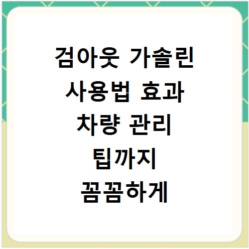 검아웃 가솔린 사용법 효과 차량 관리 팁까지 꼼꼼하게 알려드려요