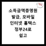 소득금액증명원 발급, 모바일 인터넷 홈택스 정부24로 쉽고 빠르게