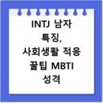 INTJ 남자 특징, 사회생활 적응 꿀팁 MBTI 성격 유형 분석