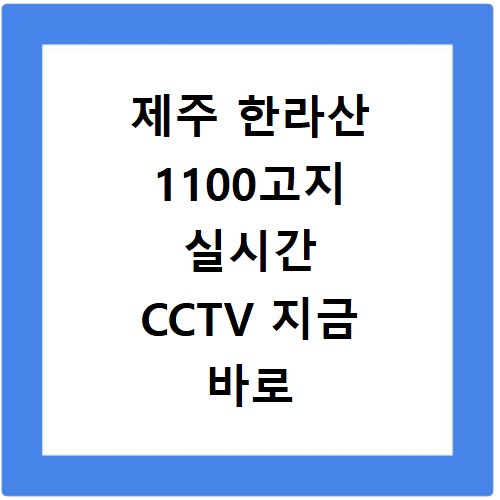 제주 한라산 1100고지 실시간 CCTV 지금 바로 확인하세요