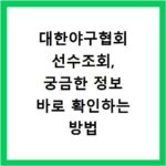 대한야구협회 선수조회, 궁금한 정보 바로 확인하는 방법