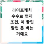 라이프캐치 수수료 면제 조건, 이 꿀팁 알면 돈 버는 거예요