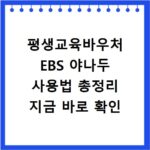 평생교육바우처 EBS 야나두 사용법 총정리 지금 바로 확인