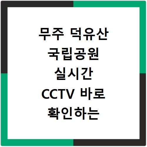 무주 덕유산 국립공원 실시간 CCTV 바로 확인하는 방법