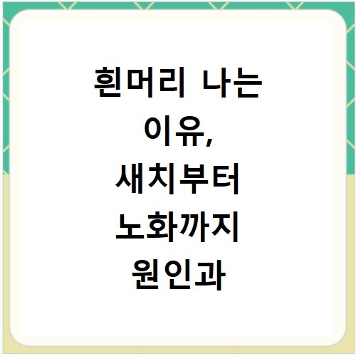 흰머리 나는 이유, 새치부터 노화까지 원인과 해결 방법 총정리