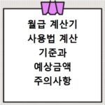 월급 계산기 사용법 계산 기준과 예상금액 주의사항 확인하기