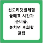 선도리갯벌체험 물때표 시간과 준비물, 놓치면 후회할 꿀팁 총정리