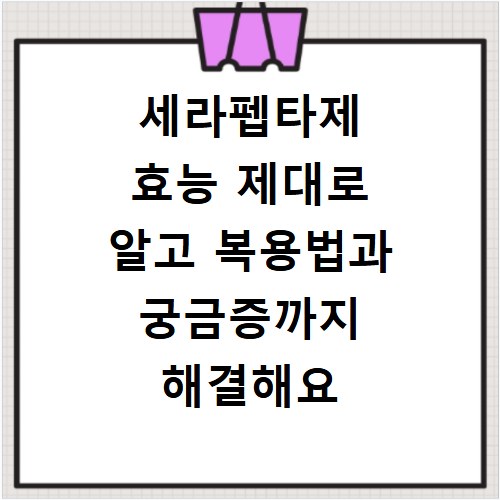 세라펩타제 효능 제대로 알고 복용법과 궁금증까지 해결해요