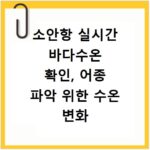 소안항 실시간 바다수온 확인, 어종 파악 위한 수온 변화 체크법