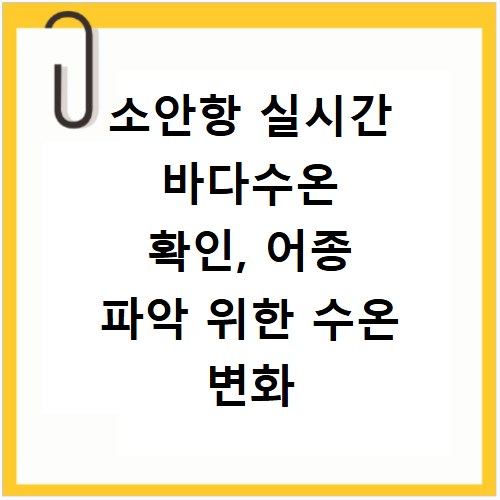 소안항 실시간 바다수온 확인, 어종 파악 위한 수온 변화 체크법