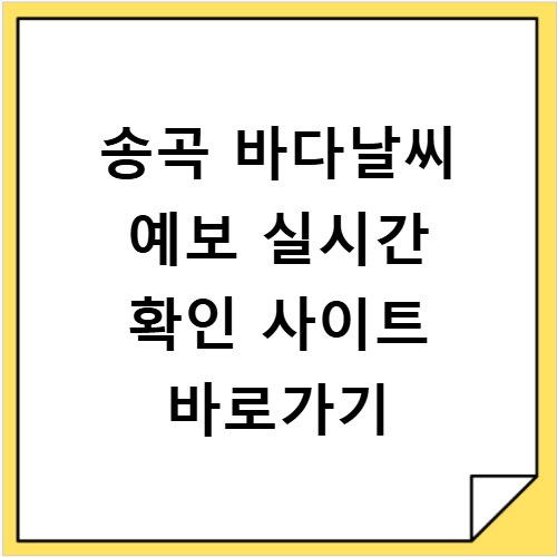 송곡 바다날씨 예보 실시간 확인 사이트 바로가기