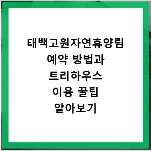 태백고원자연휴양림 예약 방법과 트리하우스 이용 꿀팁 알아보기