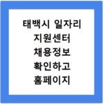 태백시 일자리 지원센터 채용정보 확인하고 홈페이지 바로가기
